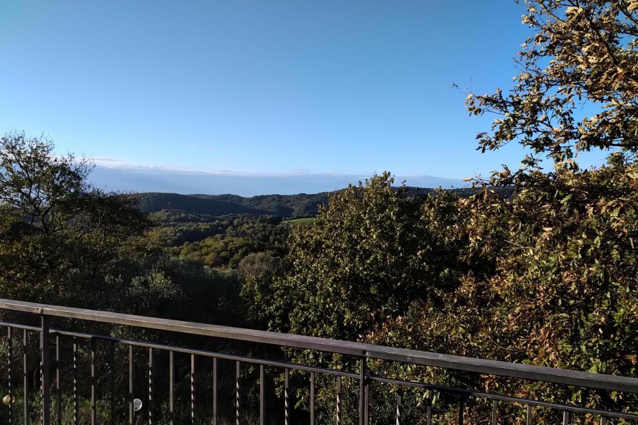 Agriturismo Tenuta Monte La Guardia Castel Giuliano Dış mekan fotoğraf