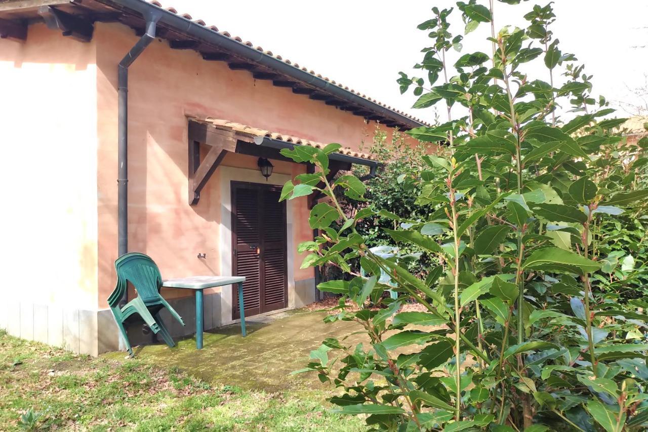 Agriturismo Tenuta Monte La Guardia Castel Giuliano Dış mekan fotoğraf